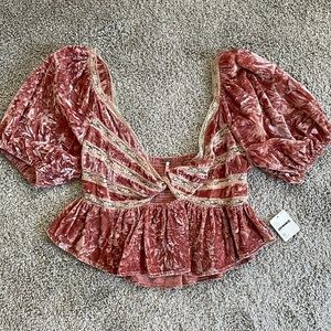 NTW! Velour cropped Free People top